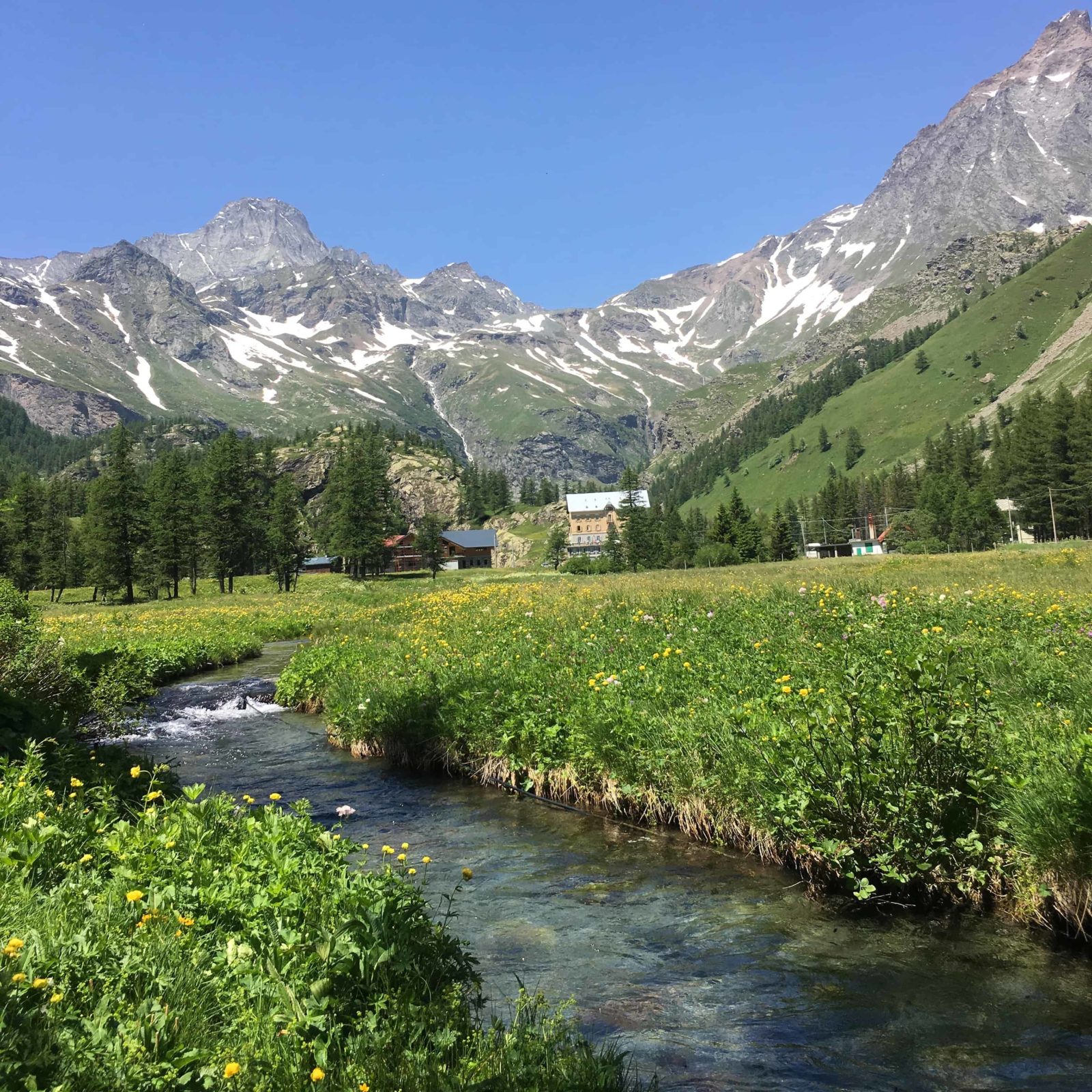 relazione con la natura