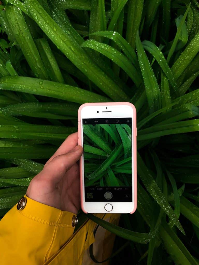 Consulenza Vegetale Online