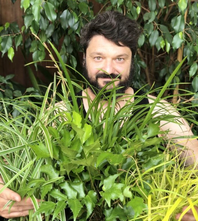 l'importanza delle foglie da ombra